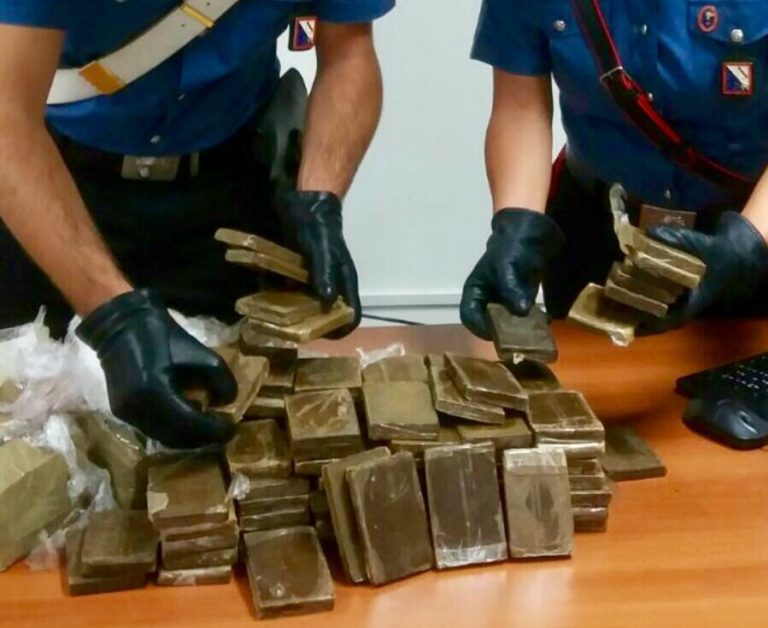 Varcaturo, Coltivavano Con Cura 5 Piante Di Cannabis: Arrestata Coppia ...